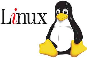 Linux Basic